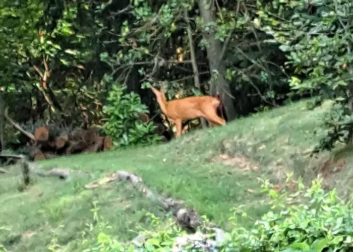 Apartment Paradiso Sotto Le Stelle, Jacuzzi Vista *