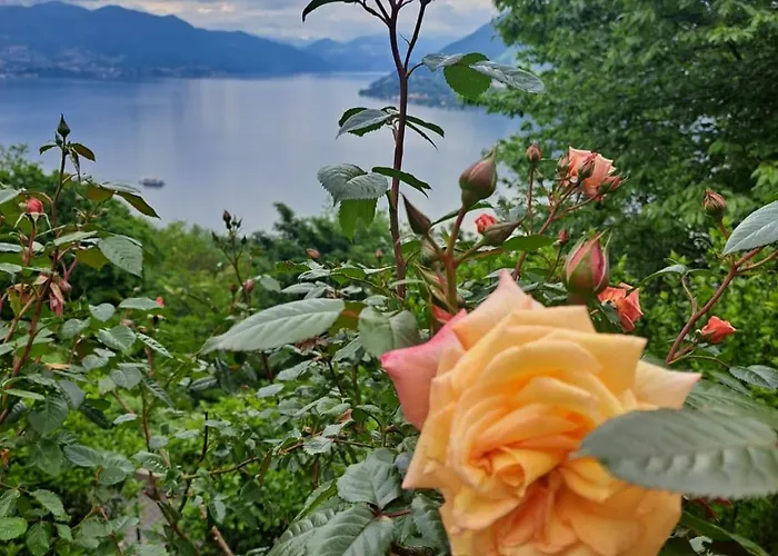 Paradiso Sotto Le Stelle, Jacuzzi Vista *